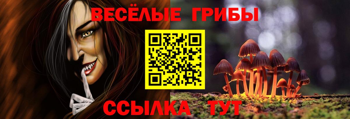 Назрань  Псилоцибиновые грибы мухоморы  Вход с VPN  Галлюциногенные грибы Cubensis 